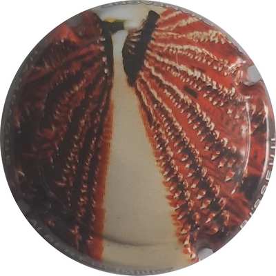 N°108c Pupitre
Photo Christophe LELU
