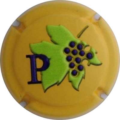 C106d P de champagne
Photo Jacky MICHEL
