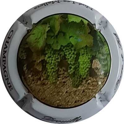 N°07b Grappes de raisin vert
Photo Christophe LELU
