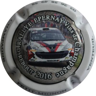 N°15l Rallye 2016, personnalisée Petit-Mignon
Photo Vincent LOUVET
