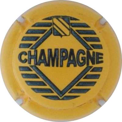 C06 Relief, jaune 
Photo Jacky Michel
