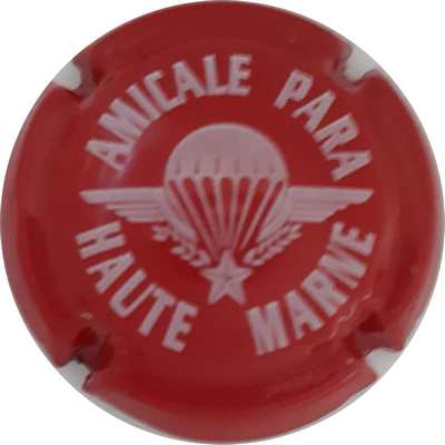 _NR Amicale para Haute Marne
Photo Patrick PLICHARD
Mots-clés: NR