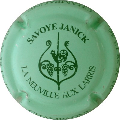 N°29 Vert pâle et noir
Photo GOURAUD Jacques
Mots-clés: NR