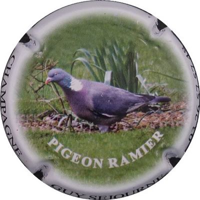 N°10 Pigeon ramier
Photo BENEZETH Louis
