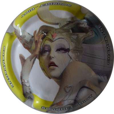 N°04g Contour jaune
Photo LE FAUCHEUR Alexandre
