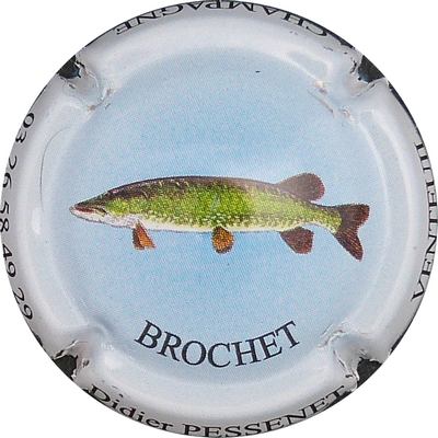 N°09 Brochet
Photo BENEZETH Louis
