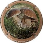 Nom du fichier=86_bolet.jpg
Taille du fichier=20Ko
Dimensions : 400x400
Ajouté le : 16 Mars 2023 86_bolet.jpg