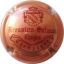 Nom du fichier=BRESSION_SALMON_N_6.jpg
Taille du fichier=30Ko
Dimensions : 400x400
Ajouté le : 13 Décembre 2012 BRESSION_SALMON_N_6.jpg