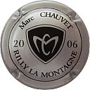 CHAUVET_MARC_MILLESIME_2006_ARGENT.jpg