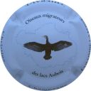 Nom du fichier=LB_16_Oiseau_migrateur.jpg
Taille du fichier=29Ko
Dimensions : 400x400
Ajouté le : 22 Août 2012 LB_16_Oiseau_migrateur.jpg