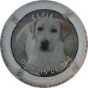Nom du fichier=LB_23__Elfie.jpg
Taille du fichier=29Ko
Dimensions : 400x400
Ajouté le : 06 Septembre 2012 LB_23__Elfie.jpg