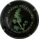 LB_4_Boutons_floraux.jpg