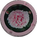 Nom du fichier=LB_67_Pivoine2C_contour_rose.jpg
Taille du fichier=29Ko
Dimensions : 400x400
Ajouté le : 28 Février 2013 LB_67_Pivoine2C_contour_rose.jpg