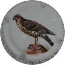 Nom du fichier=LB_6_Rapace.jpg
Taille du fichier=29Ko
Dimensions : 400x400
Ajouté le : 17 Août 2012 LB_6_Rapace.jpg