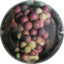 Nom du fichier=LB_710_d.jpg
Taille du fichier=29Ko
Dimensions : 400x400
Ajouté le : 04 Mai 2012 LB_710_d.jpg