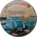 Nom du fichier=LB_8_Capsules_ocean.jpg
Taille du fichier=30Ko
Dimensions : 400x400
Ajouté le : 29 Décembre 2011 LB_8_Capsules_ocean.jpg