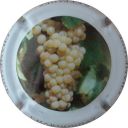 Nom du fichier=LB_Chardonnay.jpg
Taille du fichier=30Ko
Dimensions : 400x400
Ajouté le : 07 Décembre 2012 LB_Chardonnay.jpg