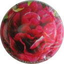 Nom du fichier=LB_ndeg648_e_Coquelicot.jpg
Taille du fichier=30Ko
Dimensions : 400x400
Ajouté le : 30 Mai 2012 LB_ndeg648_e_Coquelicot.jpg