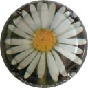 Nom du fichier=LB_ndeg648_f_Marguerite.jpg
Taille du fichier=29Ko
Dimensions : 400x400
Ajouté le : 30 Mai 2012 LB_ndeg648_f_Marguerite.jpg