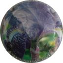 Nom du fichier=LB_ndeg648_i_Iris.jpg
Taille du fichier=30Ko
Dimensions : 400x400
Ajouté le : 30 Mai 2012 LB_ndeg648_i_Iris.jpg