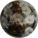 Nom du fichier=LB_ndeg648_n_Aster.jpg
Taille du fichier=29Ko
Dimensions : 400x400
Ajouté le : 30 Mai 2012 LB_ndeg648_n_Aster.jpg
