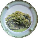 Nom du fichier=NR_Serie_arbre2C_le_chataignier.jpg
Taille du fichier=17Ko
Dimensions : 400x400
Ajouté le : 10 Mai 2015 NR_Serie_arbre2C_le_chataignier.jpg