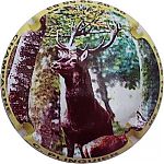Nom du fichier=Ndeg05_Cerf.jpg
Taille du fichier=26Ko
Dimensions : 400x400
Ajouté le : 14 Janvier 2025 Ndeg05_Cerf.jpg