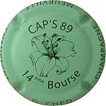 Ndeg08x_Caps_s_89_14_eme_bourse2C_vert_pale_et_noir.JPG