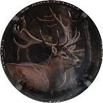 Ndeg1080d_05_sur_062C_Cerf2C_contour_noir2C_cote_1.JPG