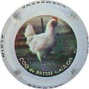 Nom du fichier=Ndeg11_coq_de_bresse.jpg
Taille du fichier=18Ko
Dimensions : 400x400
Ajouté le : 01 Mars 2017 Ndeg11_coq_de_bresse.jpg