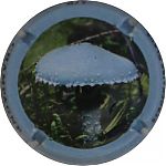 Nom du fichier=Ndeg1342a_Strophaire_bleue2C_cote_12C5.JPG
Taille du fichier=14Ko
Dimensions : 400x400
Ajouté le : 17 Juin 2024 Ndeg1342a_Strophaire_bleue2C_cote_12C5.JPG