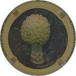 Nom du fichier=Ndeg1342d_Amanite_Imperiale2C_cote_12C5.JPG
Taille du fichier=14Ko
Dimensions : 400x400
Ajouté le : 17 Juin 2024 Ndeg1342d_Amanite_Imperiale2C_cote_12C5.JPG