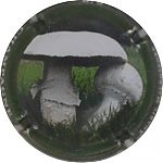 Nom du fichier=Ndeg1342e_Agaric_macrospore2C_cote_12C5.JPG
Taille du fichier=13Ko
Dimensions : 400x400
Ajouté le : 17 Juin 2024 Ndeg1342e_Agaric_macrospore2C_cote_12C5.JPG