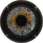 Ndeg1376c.JPG