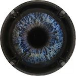 Ndeg1376e.JPG