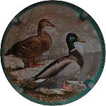 Ndeg1380b_03_sur_062C_Canard2C_contour_vert2C_cote_1.JPG