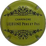 Ndeg32d_Vert-jaune_et_noir2C_cote_12C5.JPG