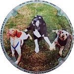 Nom du fichier=Ndeg5b_3_chiens.jpg
Taille du fichier=20Ko
Dimensions : 400x400
Ajouté le : 14 Janvier 2025 Ndeg5b_3_chiens.jpg