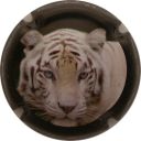 Nom du fichier=Ndeg_Tigre_blanc.jpg
Taille du fichier=29Ko
Dimensions : 400x400
Ajouté le : 16 Novembre 2012 Ndeg_Tigre_blanc.jpg