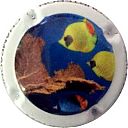 Nom du fichier=Serie_poissons_2.jpg
Taille du fichier=13Ko
Dimensions : 400x400
Ajouté le : 19 Juin 2017 Serie_poissons_2.jpg