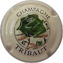 Nom du fichier=TRIBAUT_Ndeg31a_CTR_CREME.jpg
Taille du fichier=30Ko
Dimensions : 400x400
Ajouté le : 15 Juillet 2013 TRIBAUT_Ndeg31a_CTR_CREME.jpg