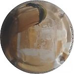 Nom du fichier=bouteille_et_flute~0.jpg
Taille du fichier=11Ko
Dimensions : 400x400
Ajouté le : 27 Décembre 2023 bouteille_et_flute~0.jpg