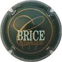 brice_ndeg07.jpg