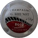 brunot_g_2008.jpg