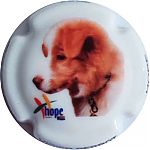 Nom du fichier=chien_porcelaine.jpg
Taille du fichier=11Ko
Dimensions : 400x400
Ajouté le : 24 Décembre 2024 chien_porcelaine.jpg