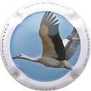 Nom du fichier=comte_de_brisfer_serie_cigogne_3.jpg
Taille du fichier=20Ko
Dimensions : 400x400
Ajouté le : 13 Février 2014 comte_de_brisfer_serie_cigogne_3.jpg
