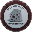 Nom du fichier=effervescence_sylvain_marc.jpg
Taille du fichier=12Ko
Dimensions : 400x400
Ajouté le : 19 Mai 2017 effervescence_sylvain_marc.jpg