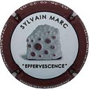 effervescence_sylvain_marc.jpg