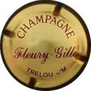 fleury_gille_ndeg3.jpg