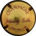 fleury_gille_ndeg4.jpg